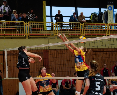 Net’s Open 2025: Was für ein Saisonstart!
