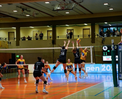 Net’s Open 2025: Was für ein Saisonstart!