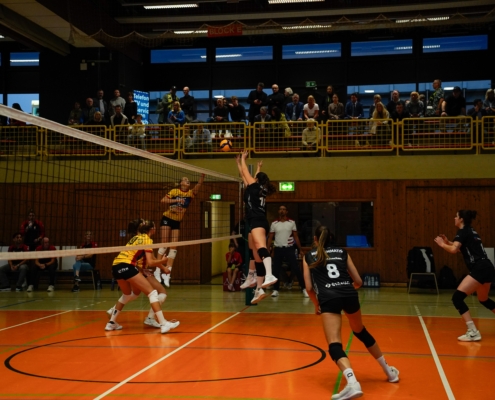 Net’s Open 2025: Was für ein Saisonstart!