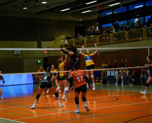 Net’s Open 2025: Was für ein Saisonstart!