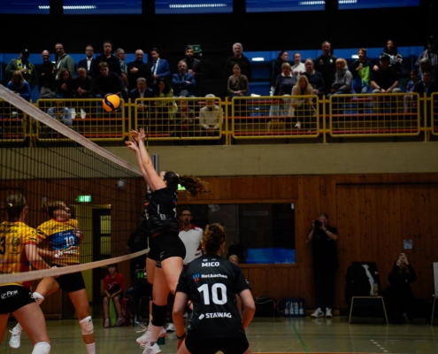 Net’s Open 2025: Was für ein Saisonstart!